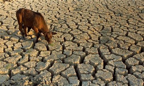  The Great Zimbabwean Cattle Drought and its Echoes Across Ironworking Traditions and Political Transformations